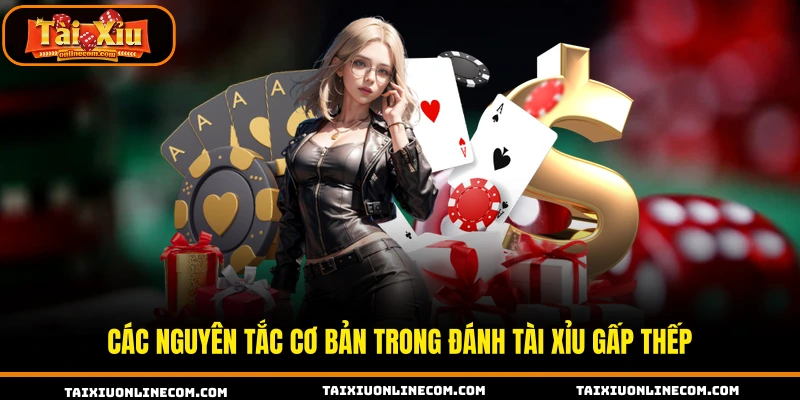 Cách Đánh Tài Xỉu Gấp Thếp Hiệu Quả Cho Hội Viên Mới Các nguyên tắc cơ bản trong đánh tài xỉu gấp thếp